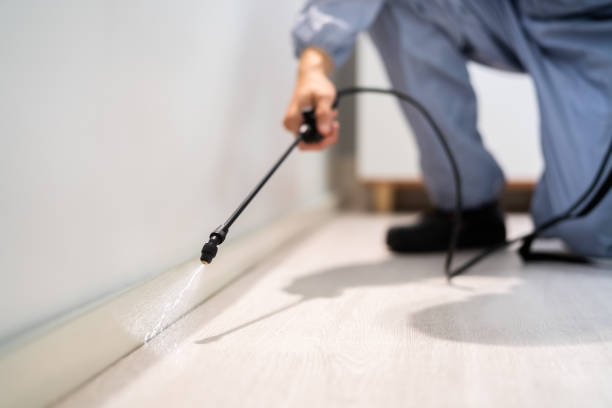 Licensed Pest Control service in The Hills, NJ - Show Me Pest Control