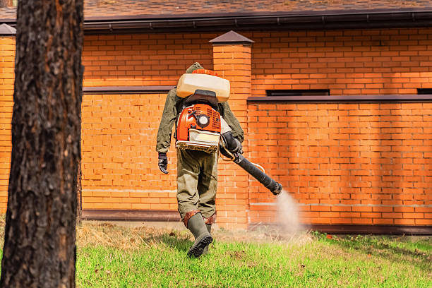 Bed Bug Clearance Verification and Documentation in The Hills